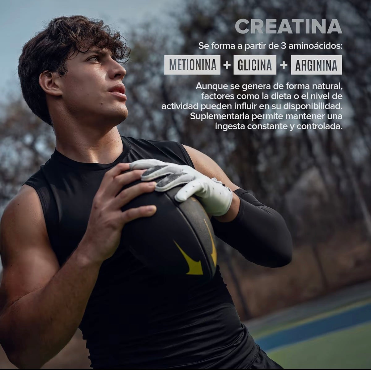 Creatina Birdman Monohidratada 90 Servicios
